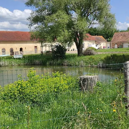 Au Repos Du Lezard , L Italienne *