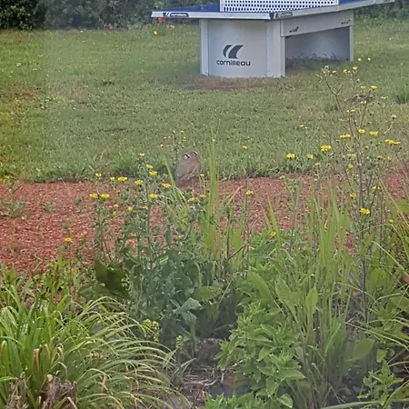 Au Repos Du Lezard , L Italienne Homestay *