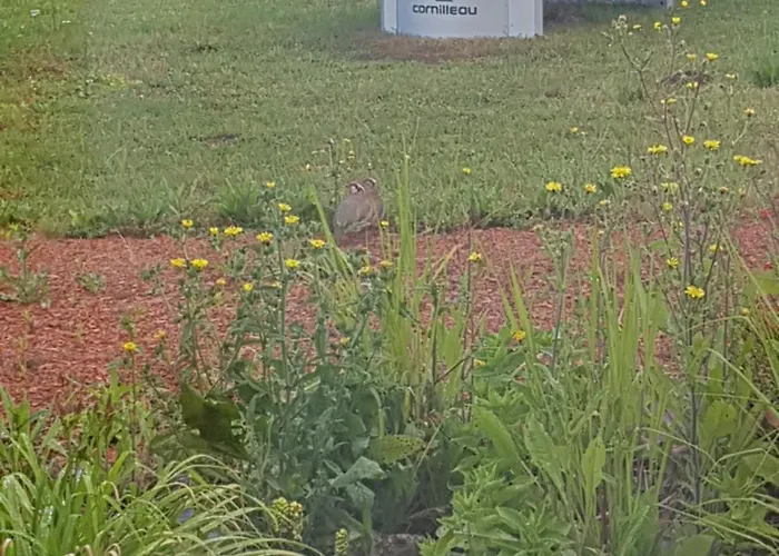 Au Repos Du Lezard , Reves Venitiens منزل للإقامة *